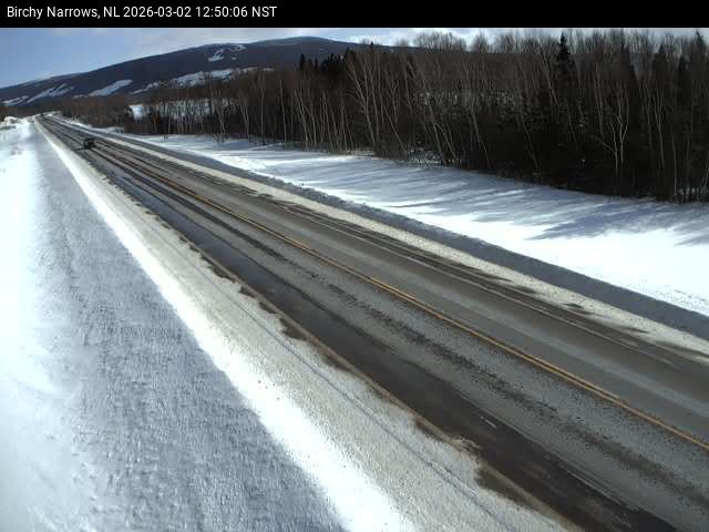 Birchy Narrows Live Camera Image