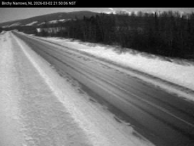 Birchy Narrows Live Camera Image