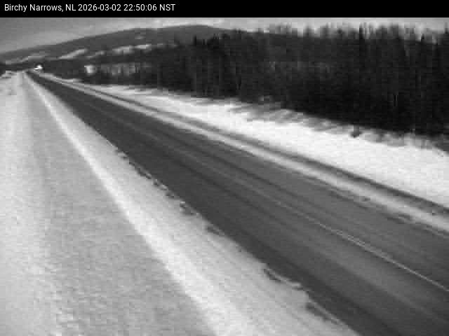 Birchy Narrows Live Camera Image