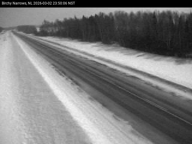 Birchy Narrows Live Camera Image