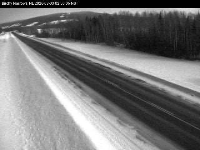 Birchy Narrows Live Camera Image