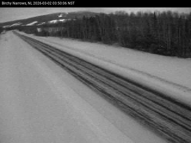 Birchy Narrows Live Camera Image