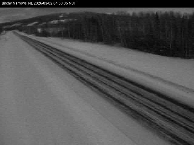 Birchy Narrows Live Camera Image