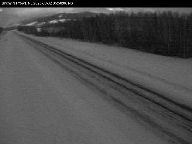 Birchy Narrows Live Camera Image