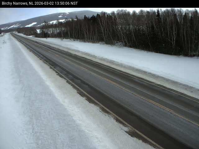 Birchy Narrows Live Camera Image