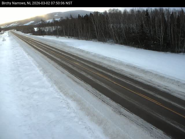 Birchy Narrows Live Camera Image