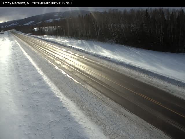 Birchy Narrows Live Camera Image