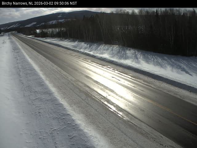 Birchy Narrows Live Camera Image