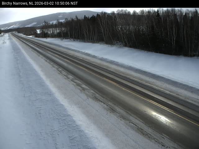 Birchy Narrows Live Camera Image
