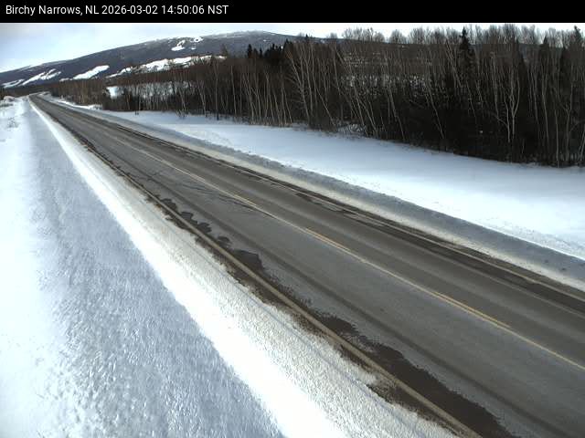 Birchy Narrows Live Camera Image