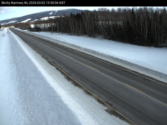 Birchy Narrows Live Camera Image