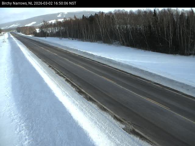 Birchy Narrows Live Camera Image