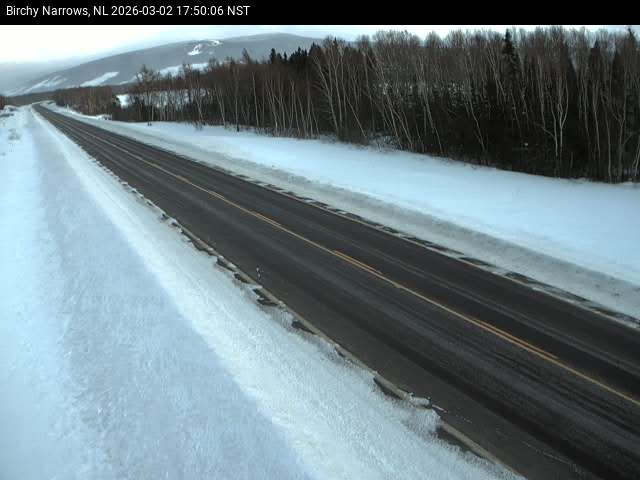 Birchy Narrows Live Camera Image