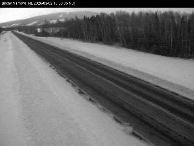 Birchy Narrows Live Camera Image
