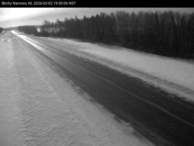 Birchy Narrows Live Camera Image
