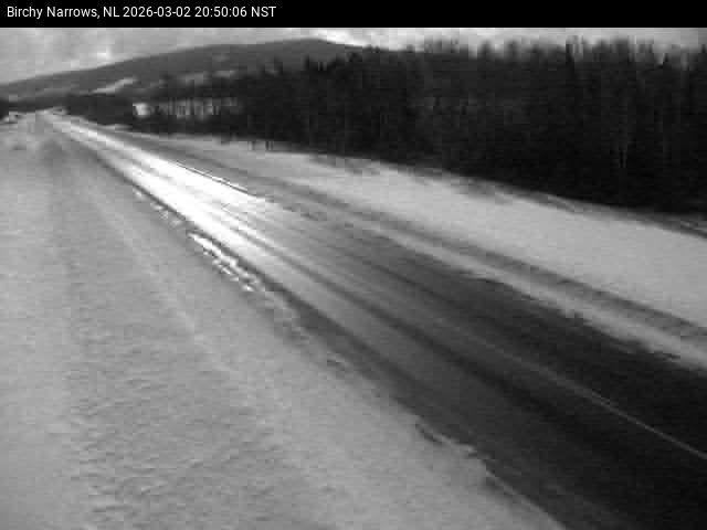 Birchy Narrows Live Camera Image