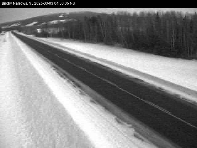 Birchy Narrows Live Camera Image
