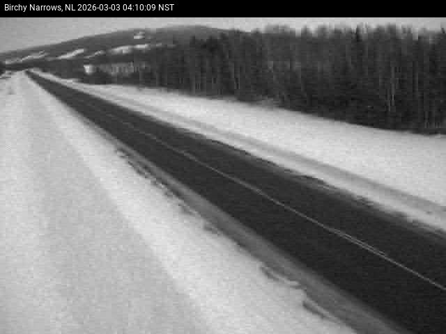 Birchy Narrows Live Camera Image