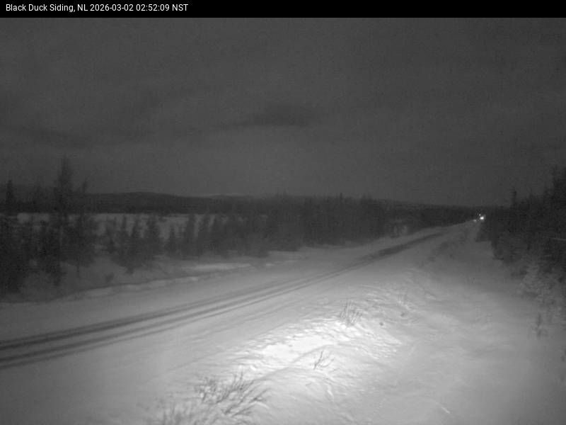 Black Duck Siding Live Camera Image