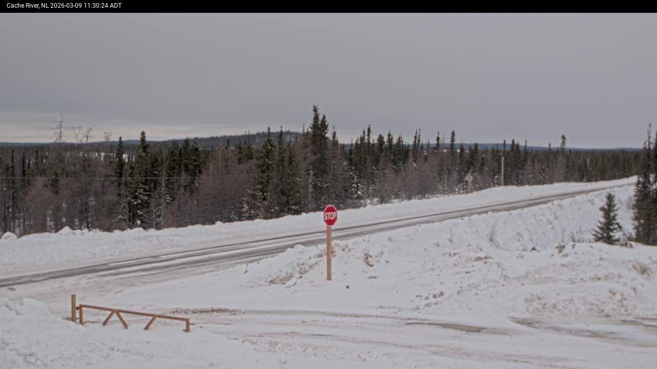 Cache River Live Camera Image