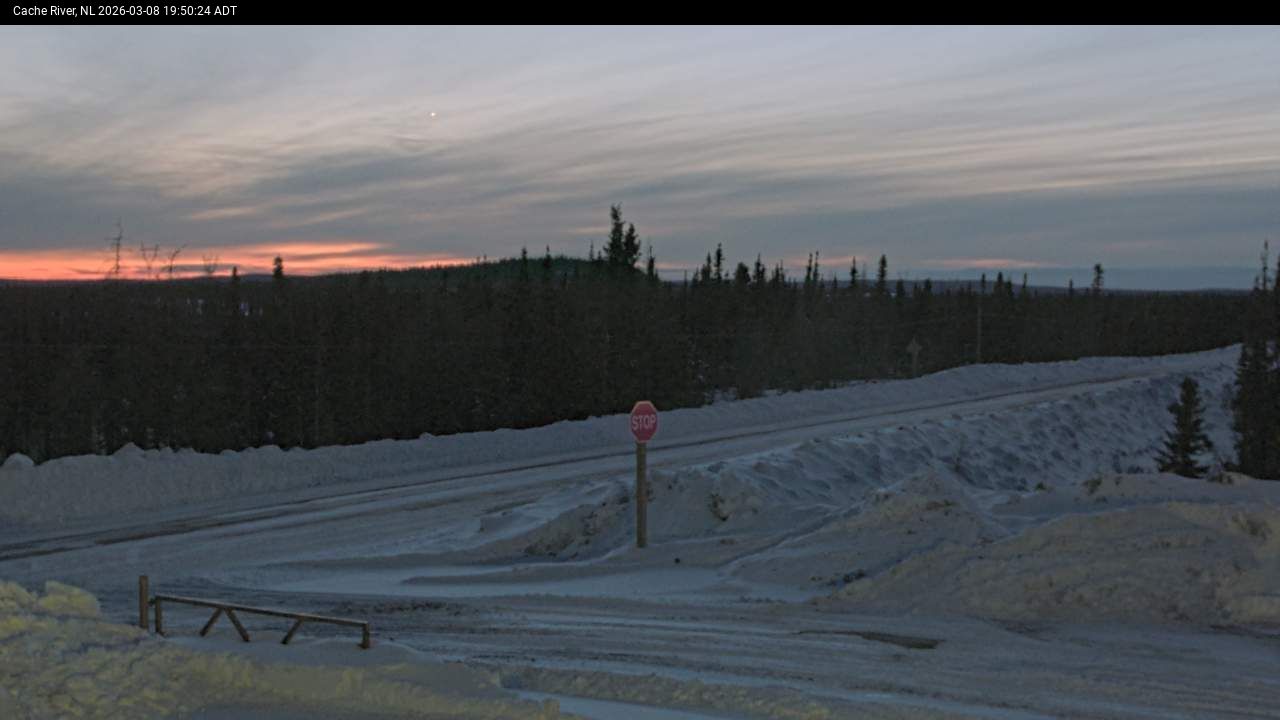 Cache River Live Camera Image