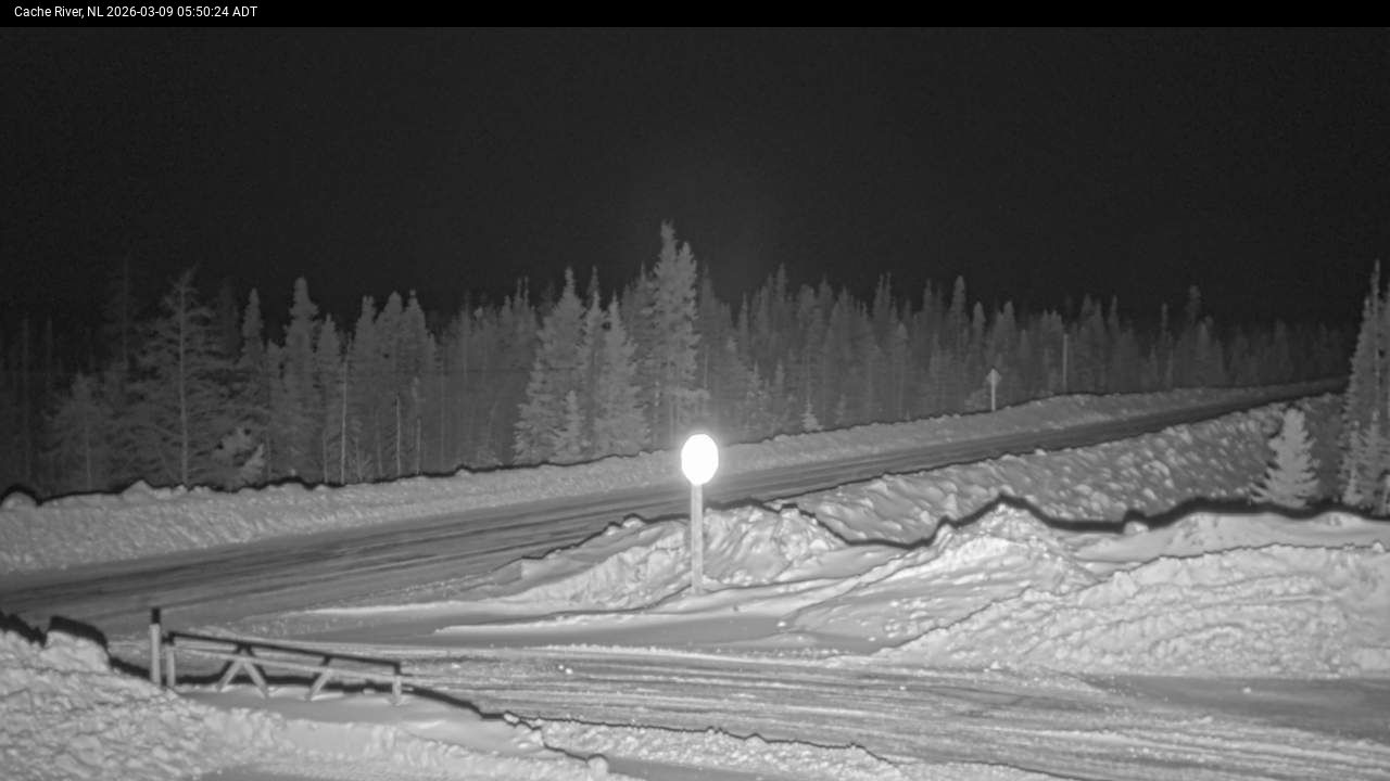 Cache River Live Camera Image