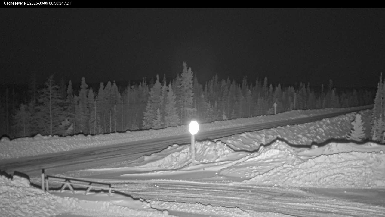 Cache River Live Camera Image