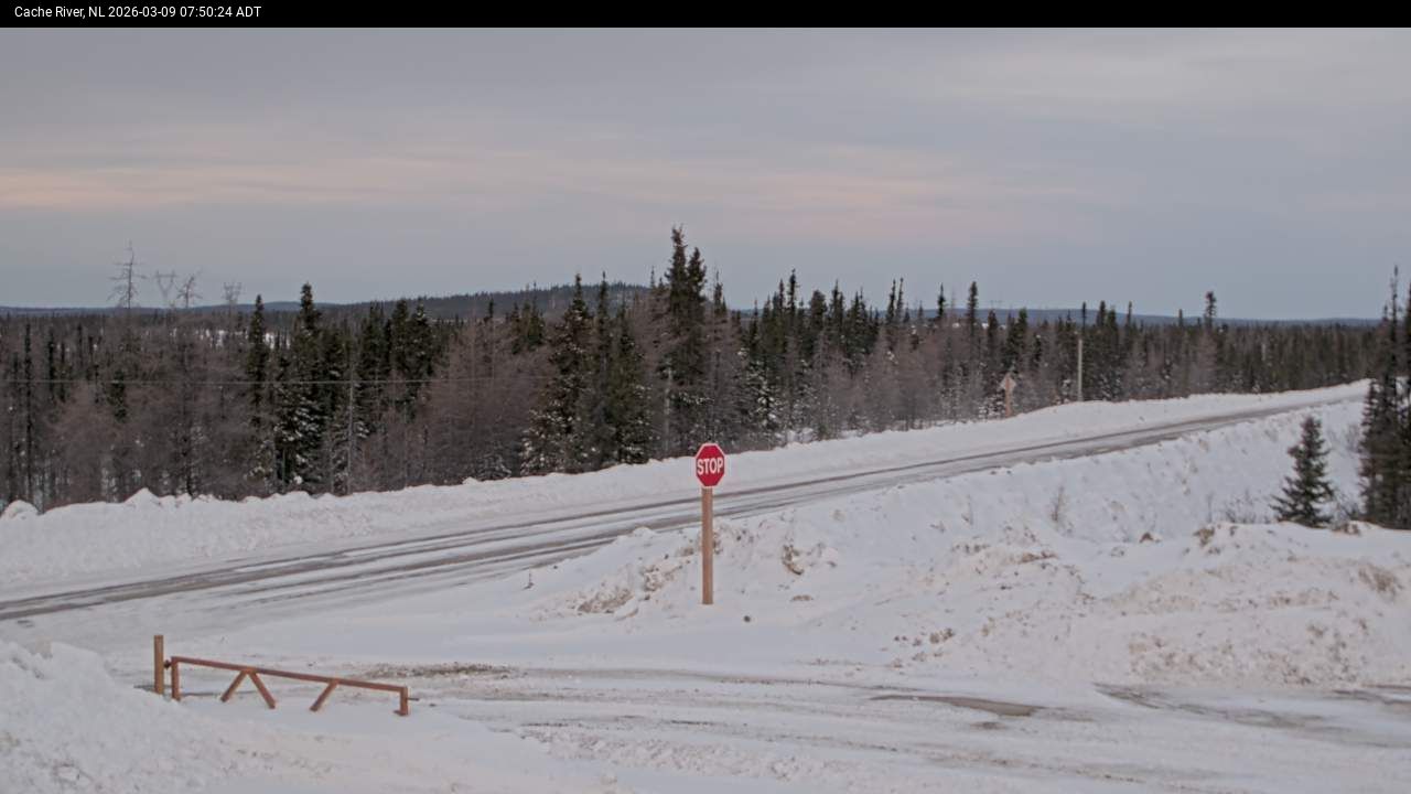 Cache River Live Camera Image