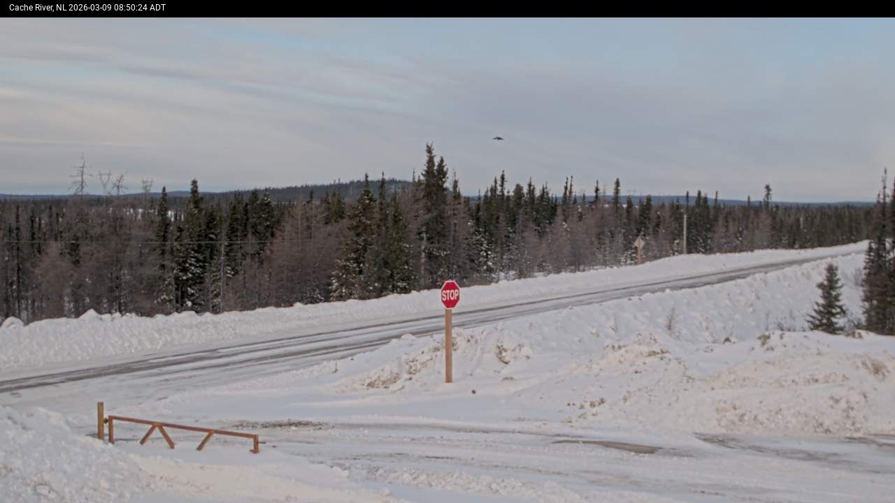 Cache River Live Camera Image