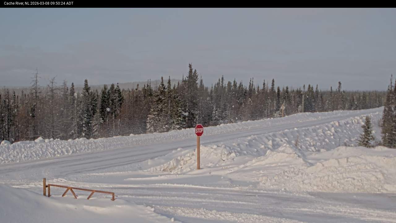 Cache River Live Camera Image