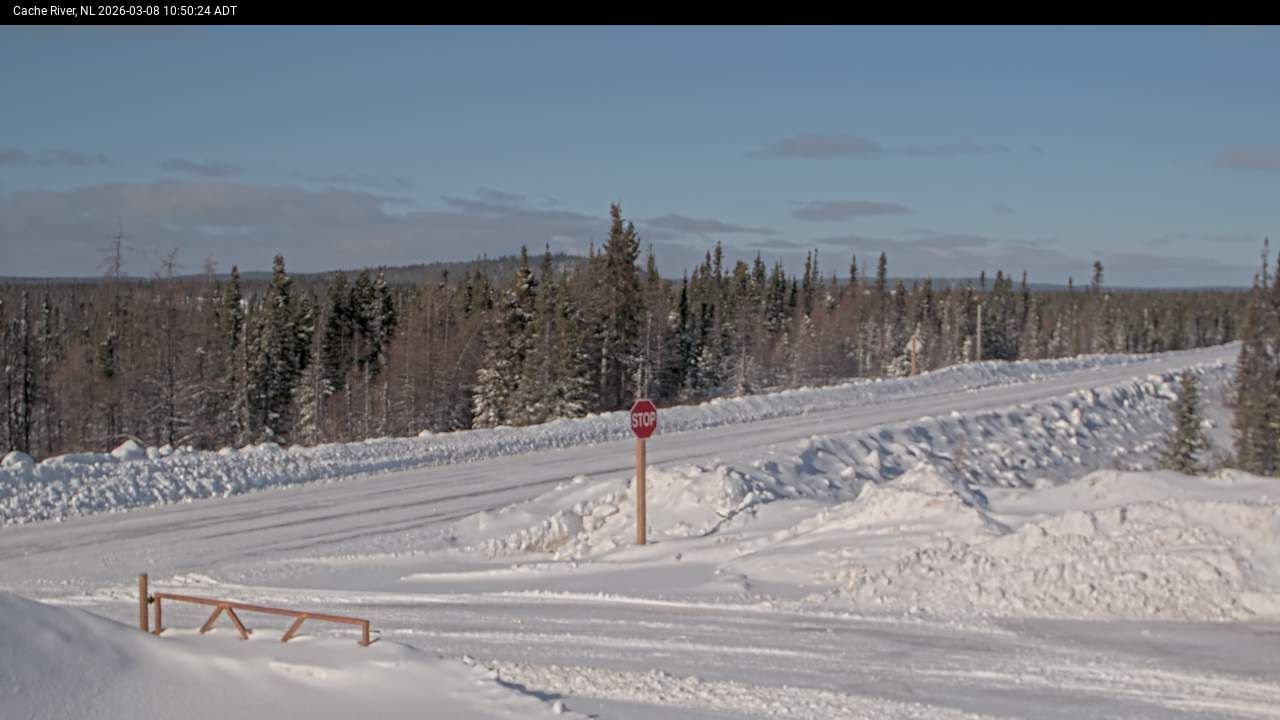 Cache River Live Camera Image