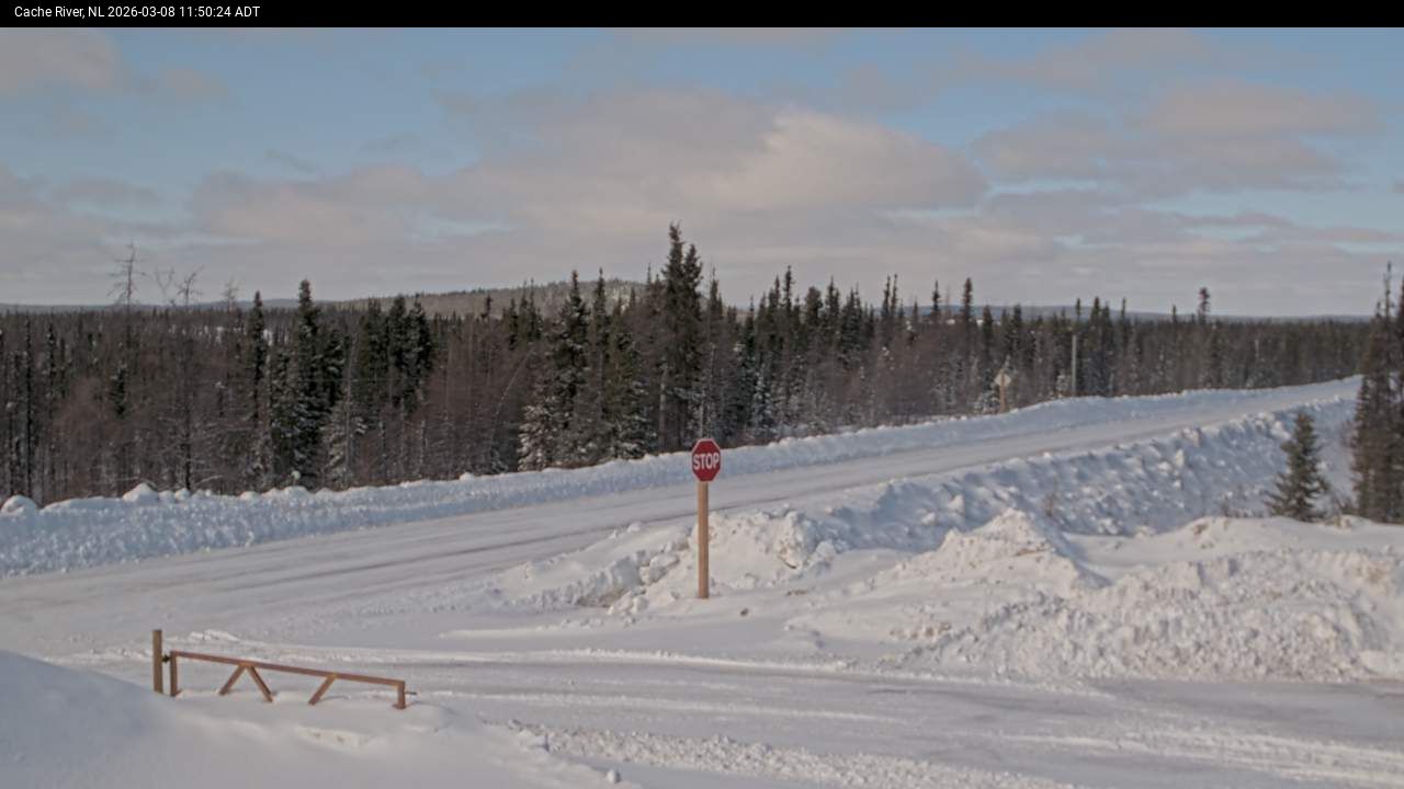 Cache River Live Camera Image