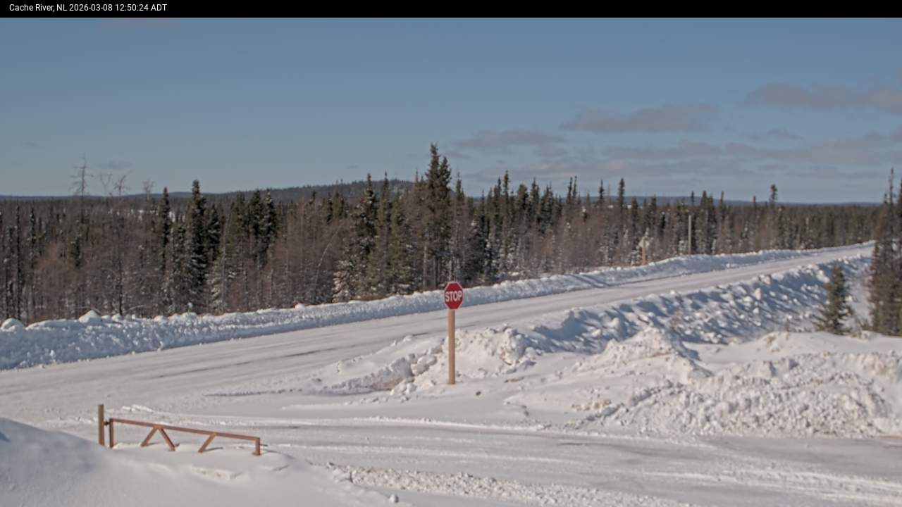 Cache River Live Camera Image