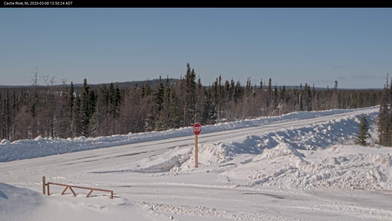 Cache River Live Camera Image