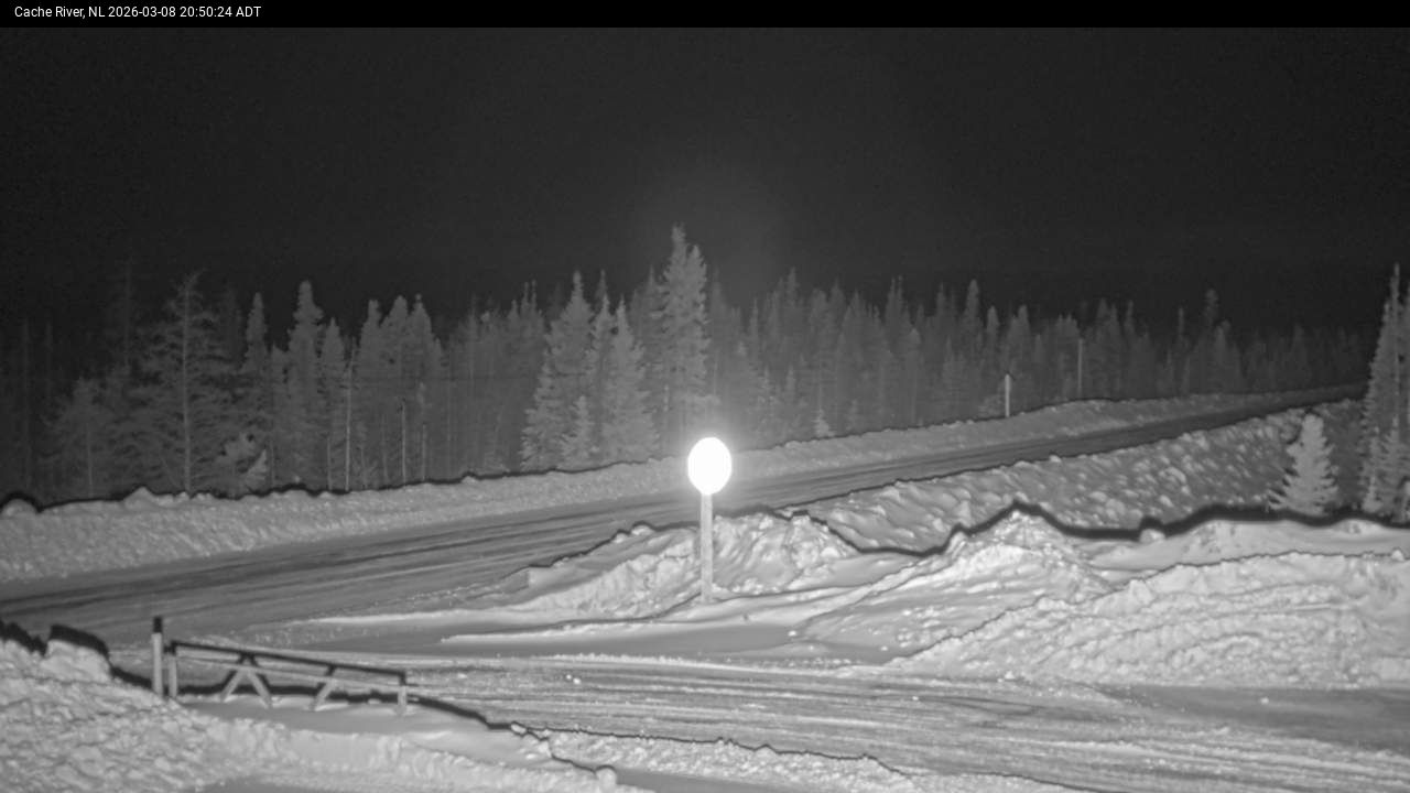 Cache River Live Camera Image