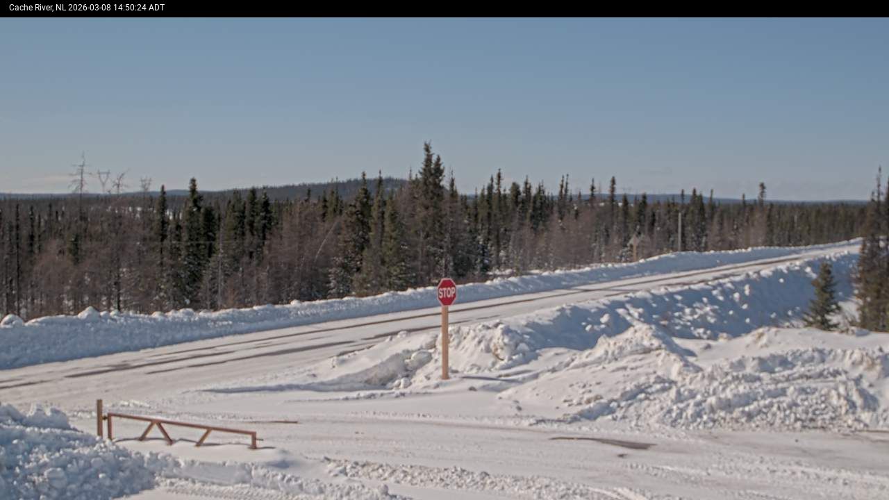 Cache River Live Camera Image