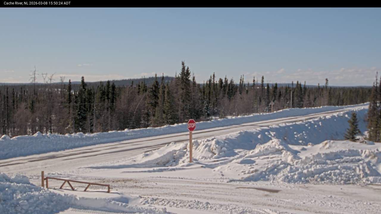 Cache River Live Camera Image