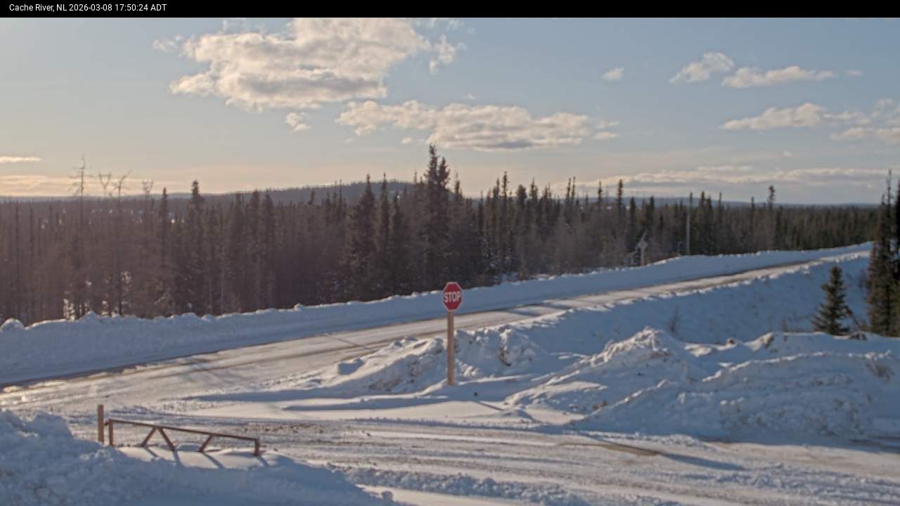 Cache River Live Camera Image