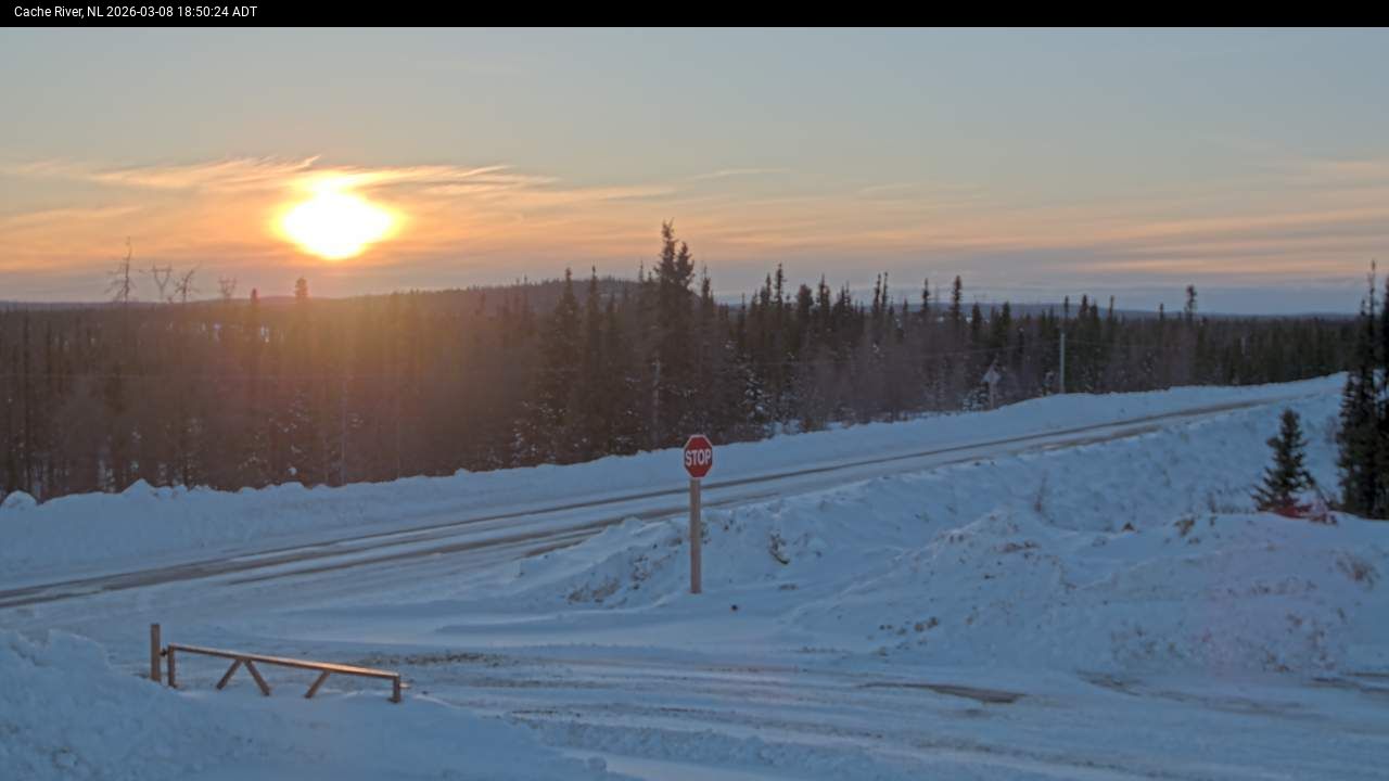 Cache River Live Camera Image