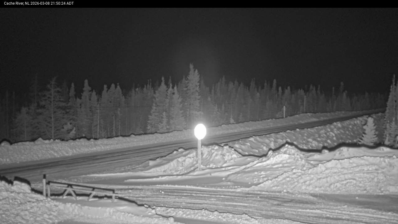 Cache River Live Camera Image