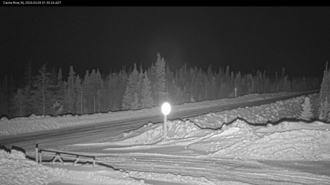 Cache River Live Camera Image