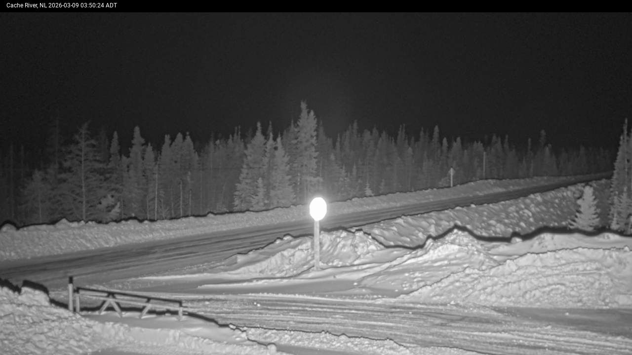 Cache River Live Camera Image