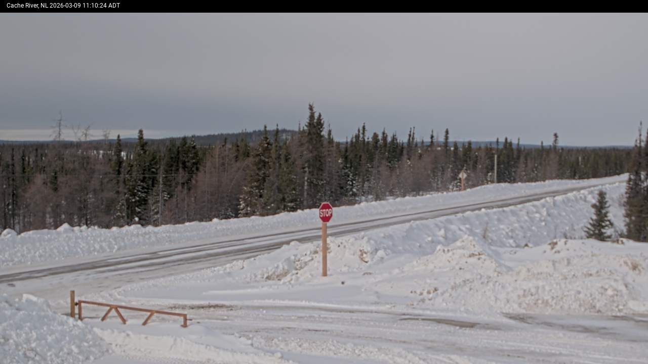 Cache River Live Camera Image