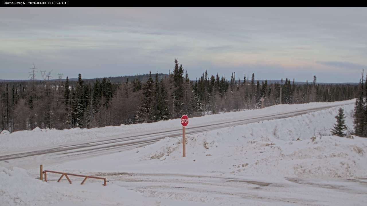 Cache River Live Camera Imagee