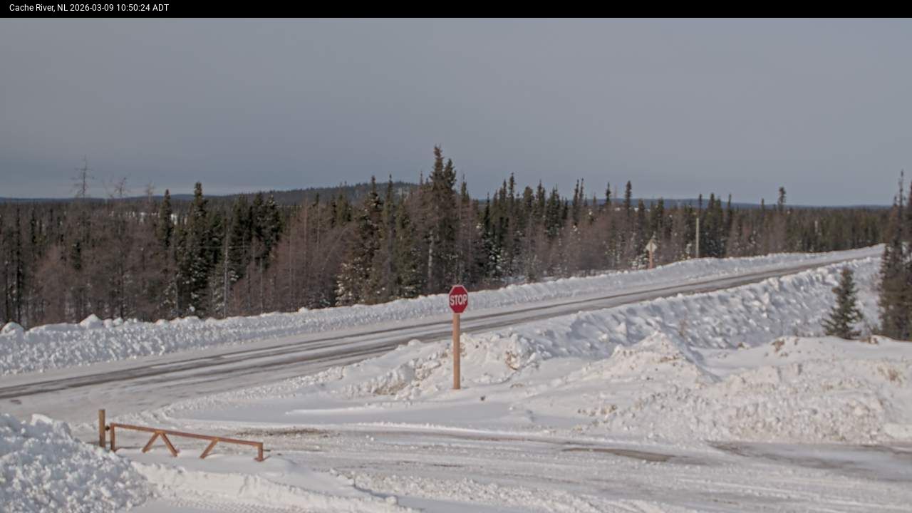 Cache River Live Camera Image