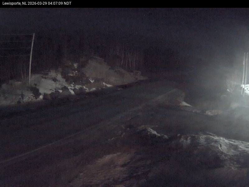 Lewisporte Live Camera Image