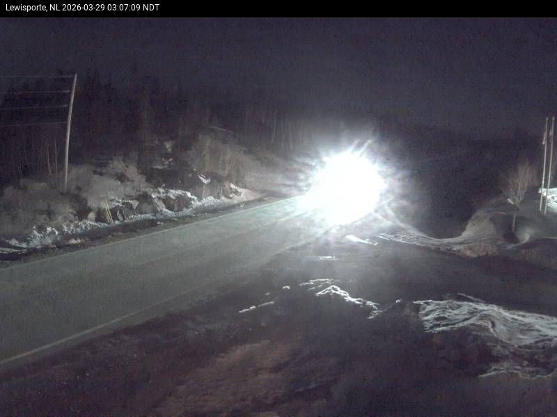 Lewisporte Live Camera Image