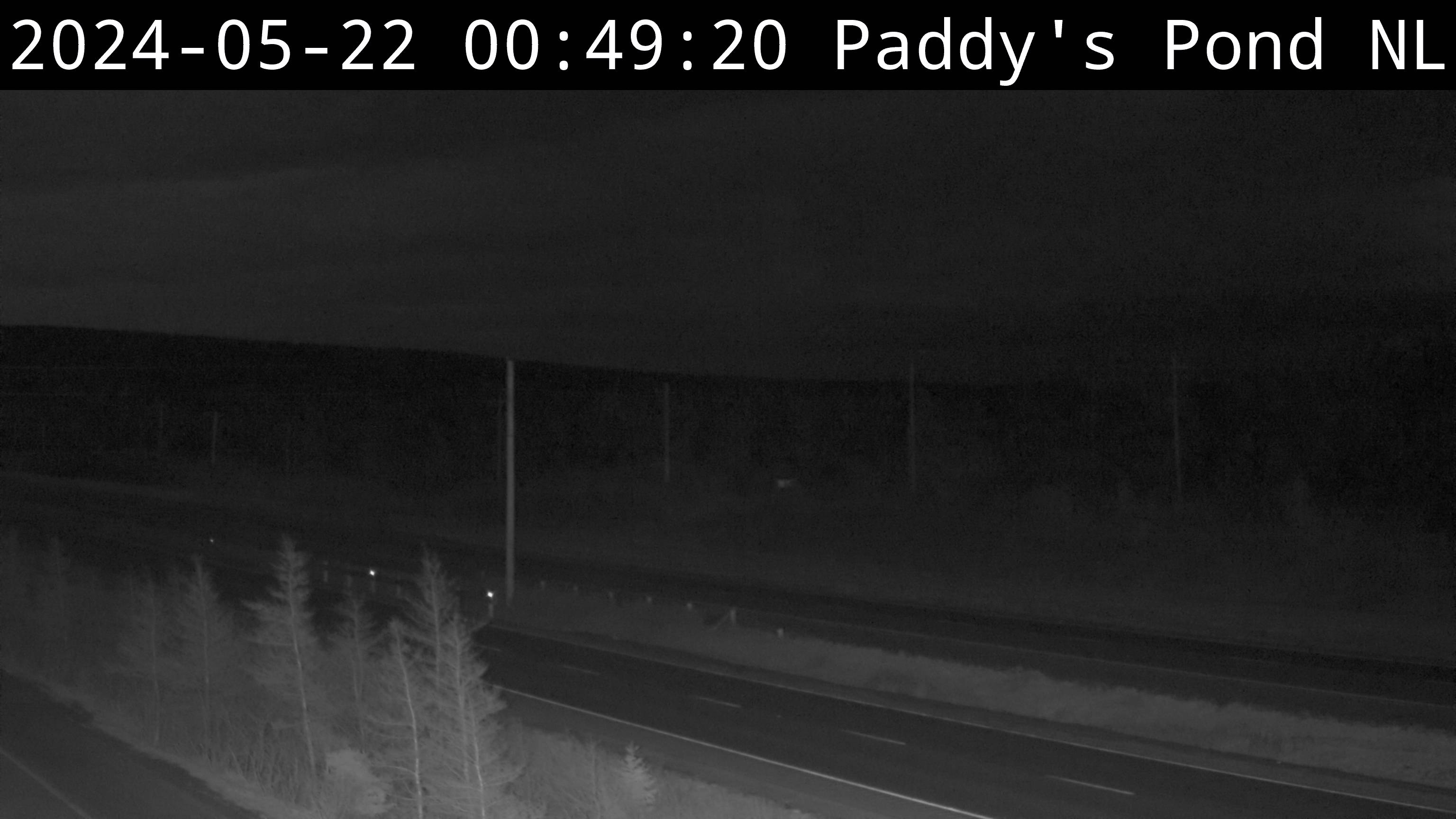 Paddy's Pond Live Camera Image