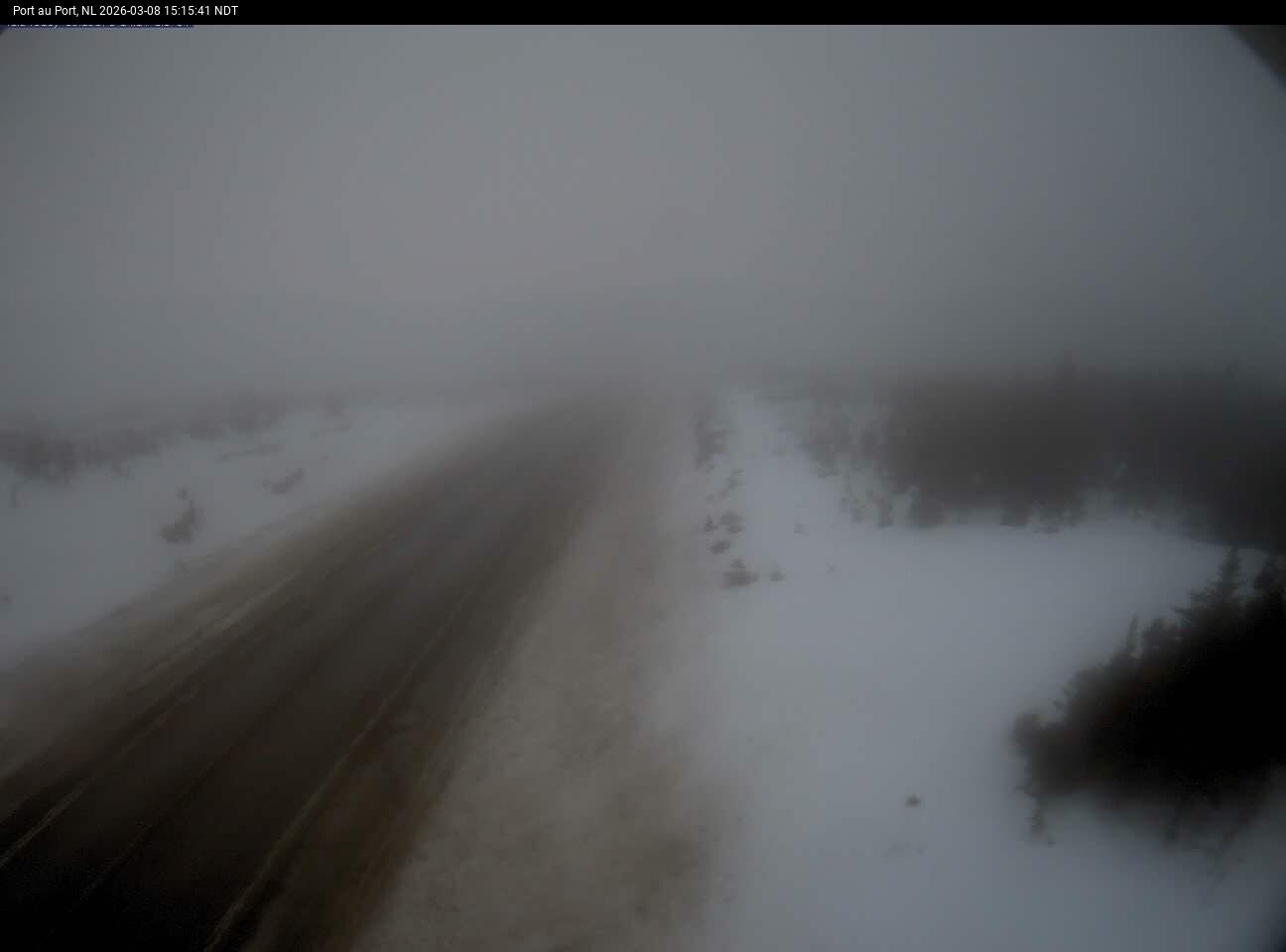 Port Au Port Live Camera Image