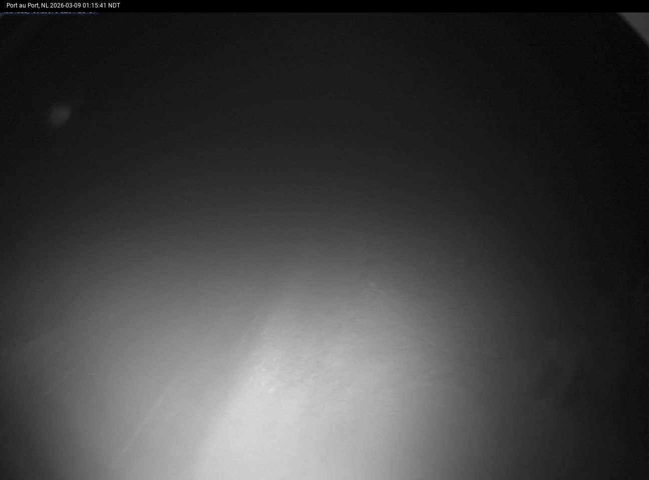 Port Au Port Live Camera Image